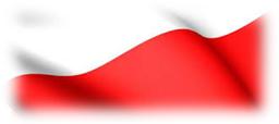 Dzień Flagi RP i Polonii we Francji